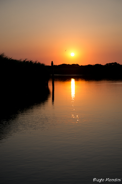 DeltaPo_Boccasette_2012lug9_dm 654.jpg